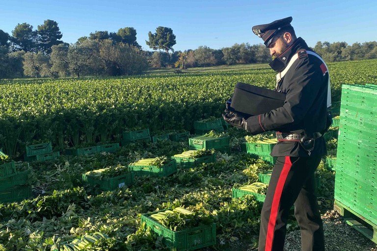Controlli aziende agricole JPG