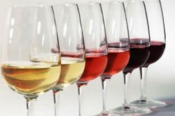 corso per assaggiatori di vino