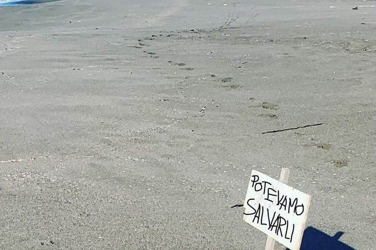 Domenica 19 marzo il centro Zenith di Andria sarà a Cutro