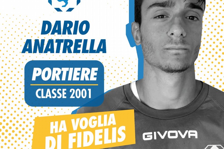 dario anatrella