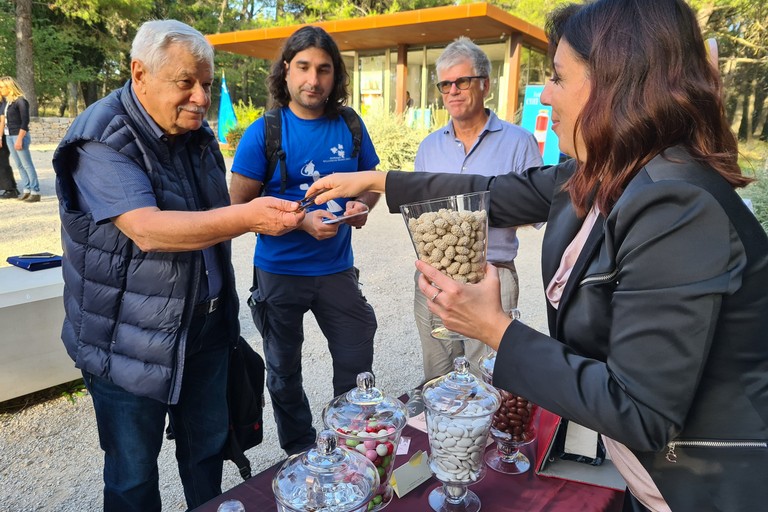 Degustazione confetti