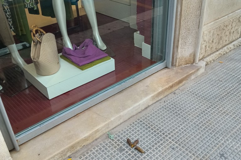 deiezioni animali in via Regina Margherita