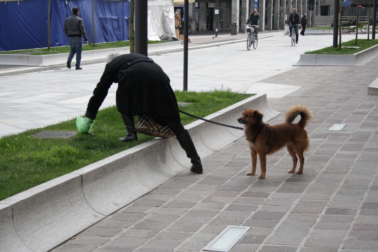 Deiezioni canine
