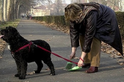 Obbligo di rimozione deiezioni canine