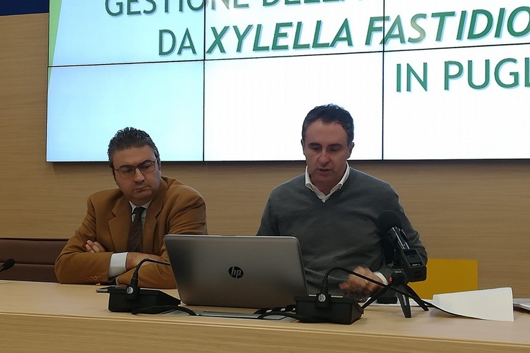 conferenza stampa ass. Di Gioia (a dx)