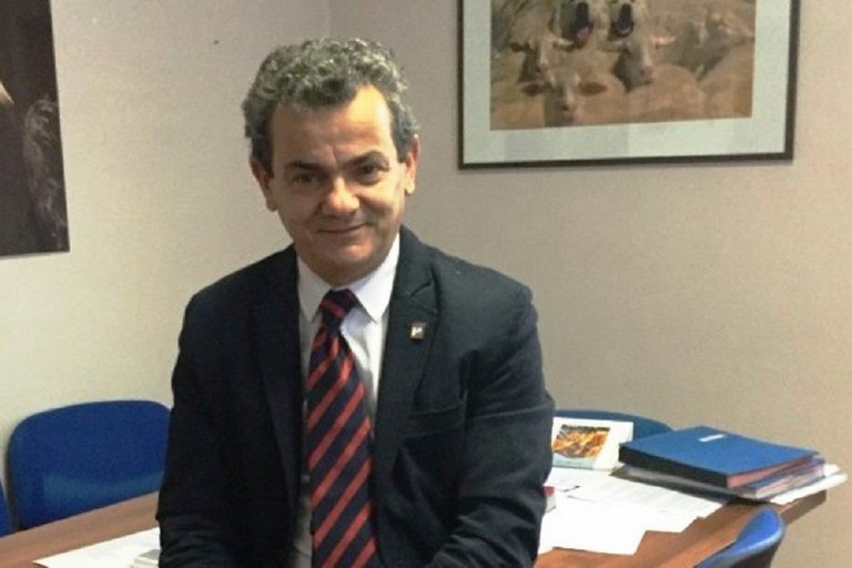 prof. Domenico Nicoletti