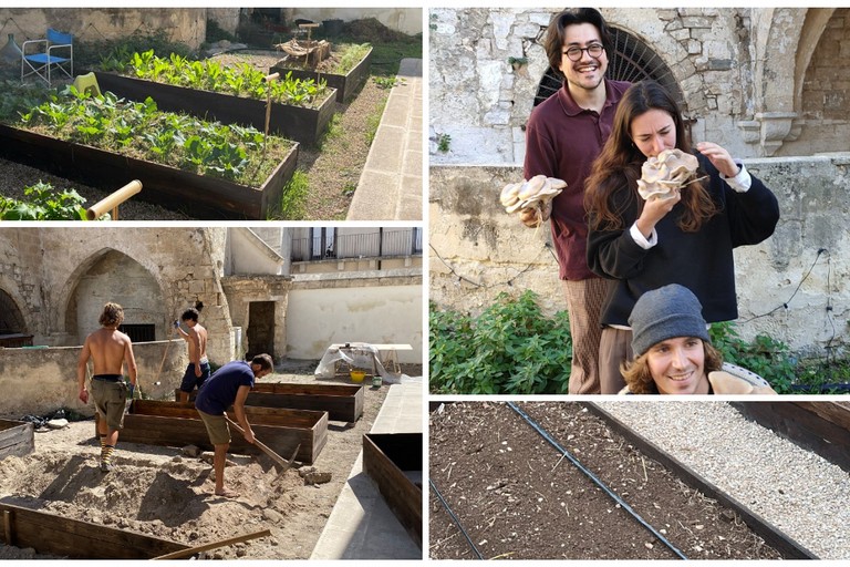 l’orto sociale nel cuore del centro storico di Andria