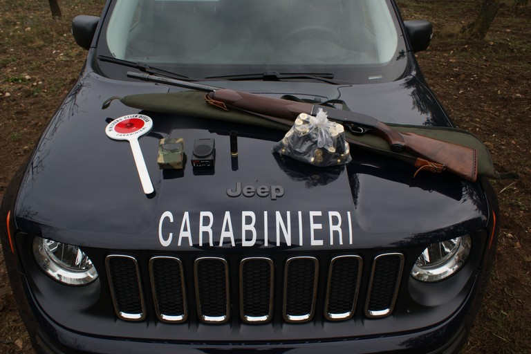 Carabinieri Forestali