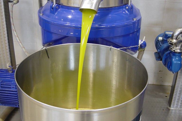 Olio d'oliva. <span>Foto Vincenzo Cassano</span>