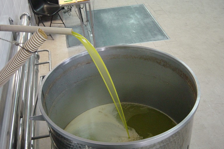 Olio d'oliva. <span>Foto Vincenzo Cassano</span>