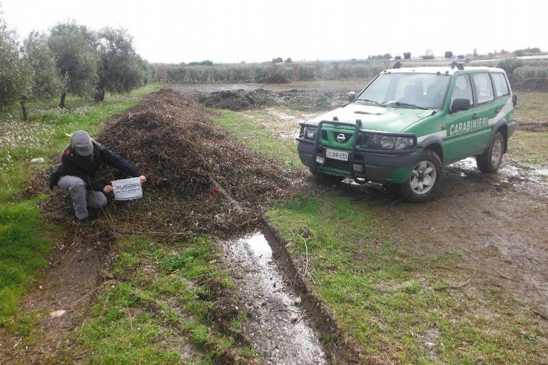 carabinieri forestali