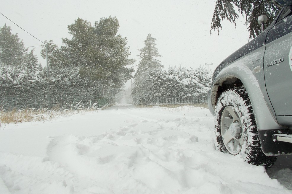 Danni causati dalla neve