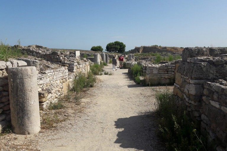 Canne della Battaglia