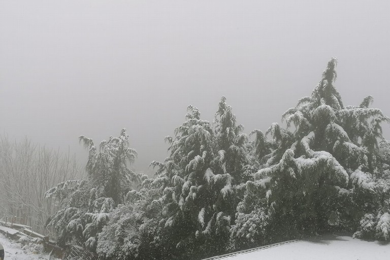 neve primaverile a Spinazzola