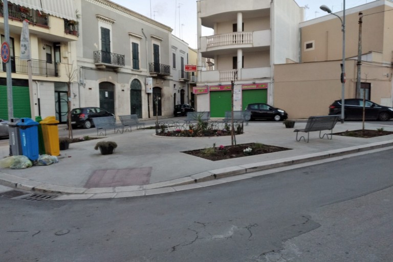 alberi messi a dimora a piazza Sorelle Agazzi
