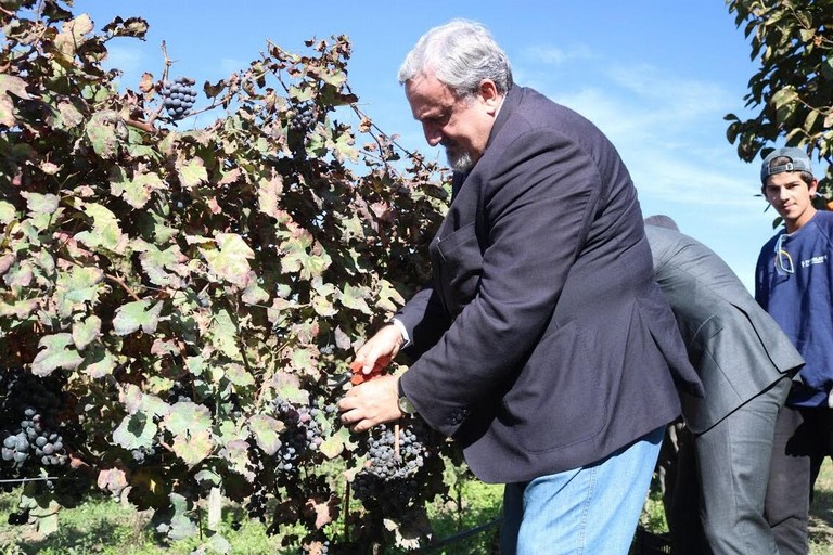 Michele Emiliano