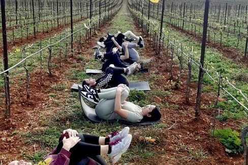 Cresce l'enoturismo in Puglia