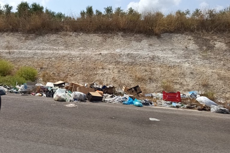 discariche di rifiuti puzzolenti sull'Andria Canosa di Puglia