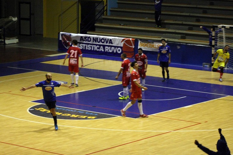 florigel andria