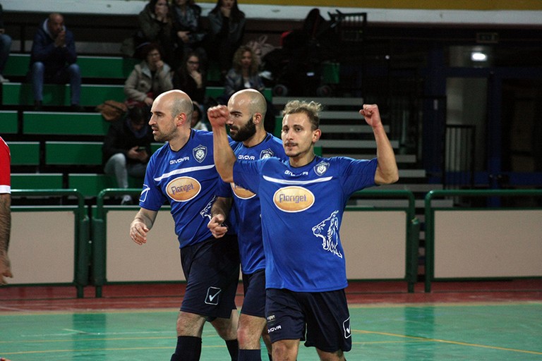 florigel andria