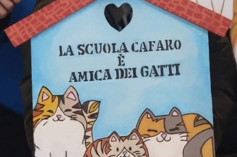 Cafaro