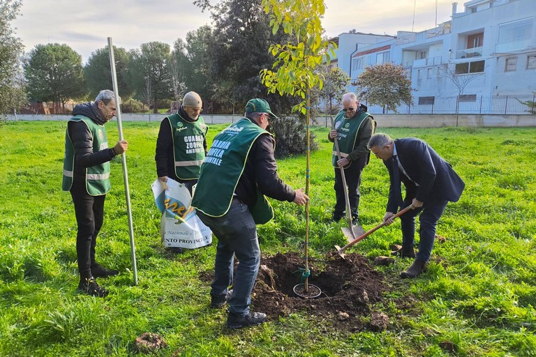 Festa dell’Albero: manifestazione di Fareambiente