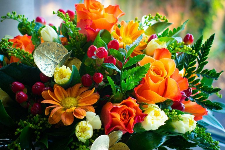 fiori e piante