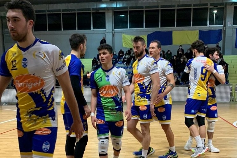 florigel vs leverano cc