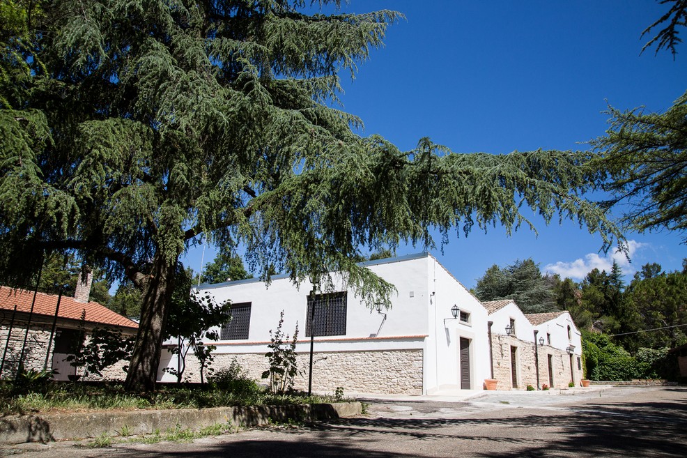 Fondazione Bonomo
