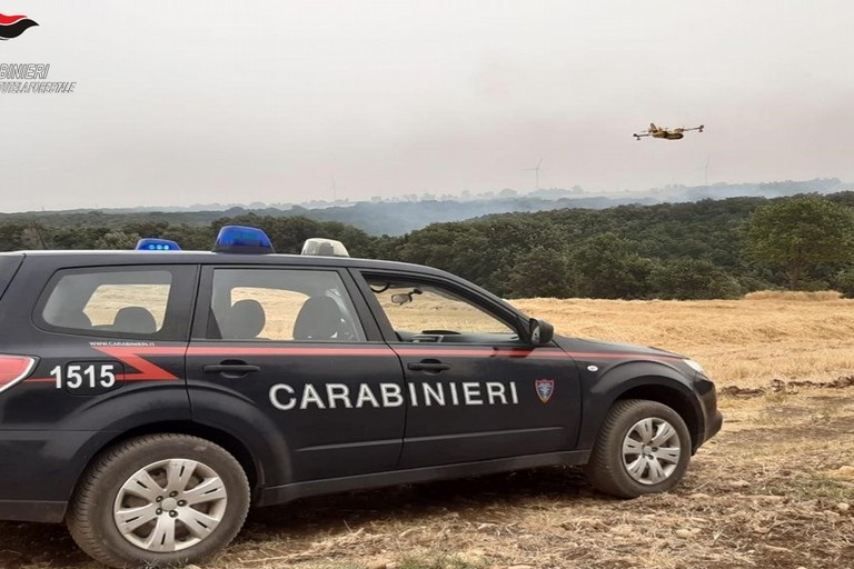 Carabinieri forestali