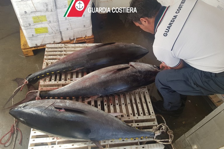 guardia costiera sequestro di pesce