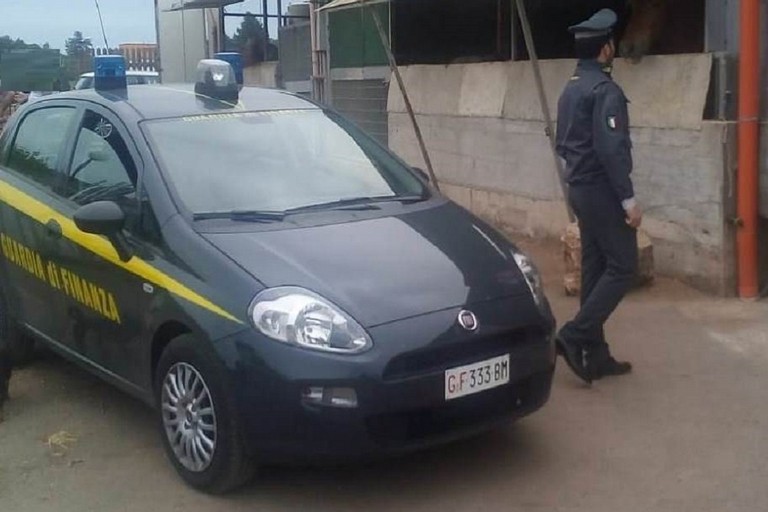 Guardia di Finanza