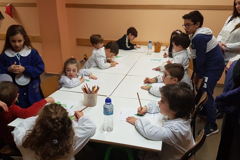 8° Circolo Didattico 