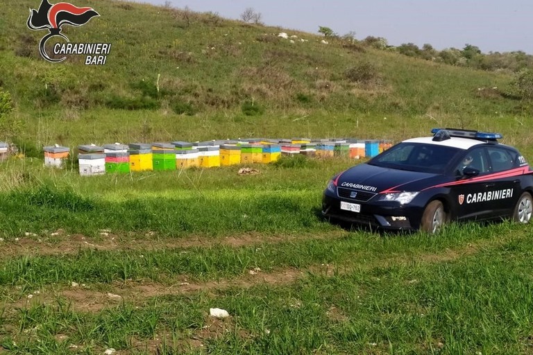 refurtiva recuperata dai carabinieri