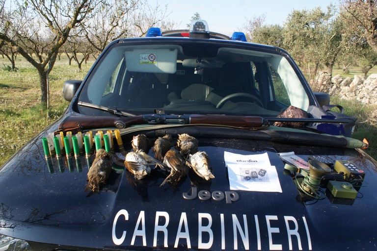 carabinieri forestali