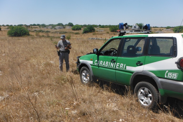 carabinieri forestali
