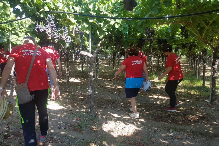 Ancora in campo, iniziativa Flai