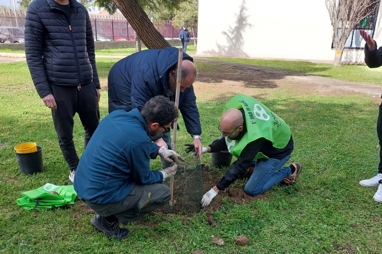 3place dona alberi alla scuola