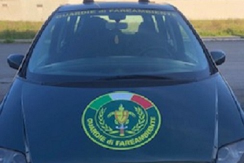 auto di servizio di FareAmbiente
