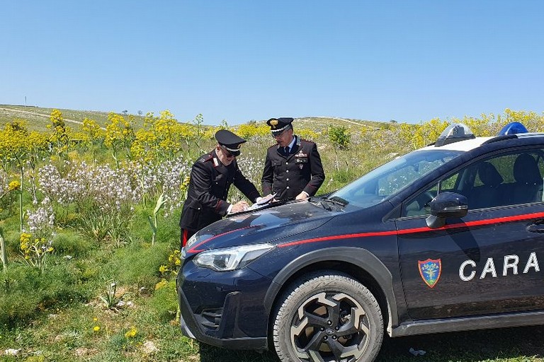 Carabinieri Forestali
