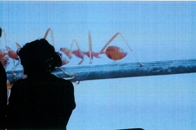 foto MACONDO di Silvia Mercuriali