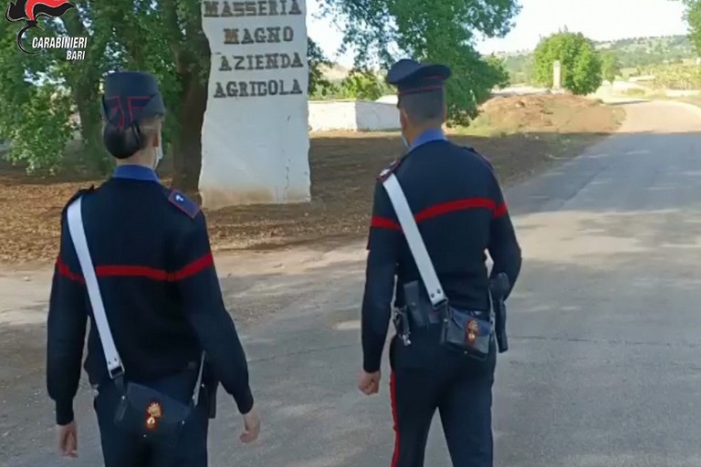 carabinieri