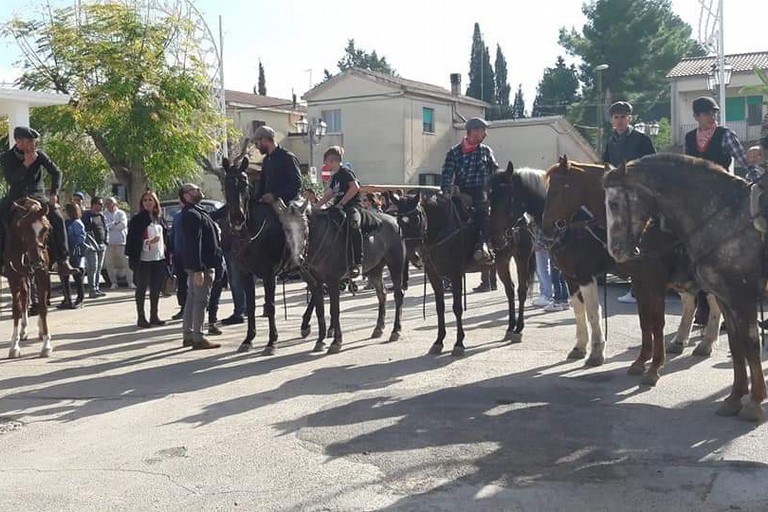 Festa di San Martino a Montegrosso