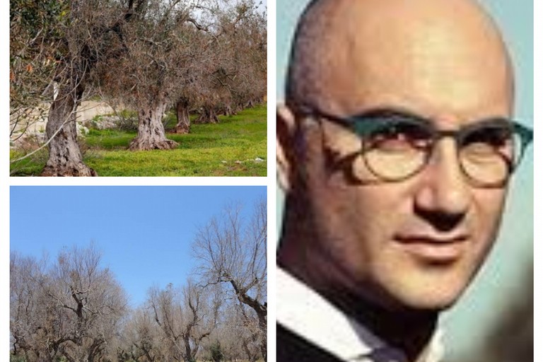 Muraglia di Coldiretti Puglia