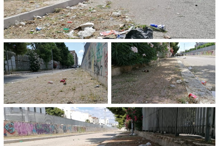 degrado ed incuria in via Giotto