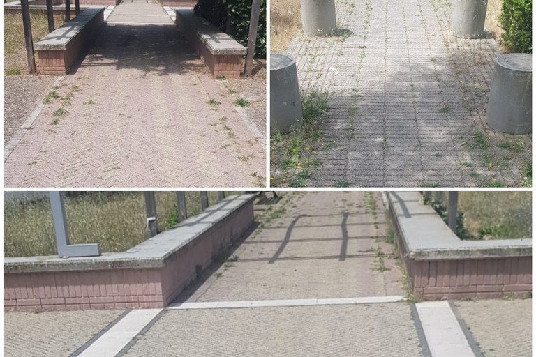 Sanificato il parco urbano dedicato a Graziella Mansi