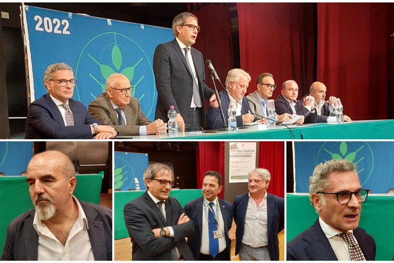 “La Filiera Olivicola, tra certezze e innovazione”: incontro con l'assessore Troia