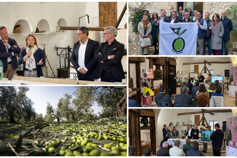 Associazione Città dell’Olio