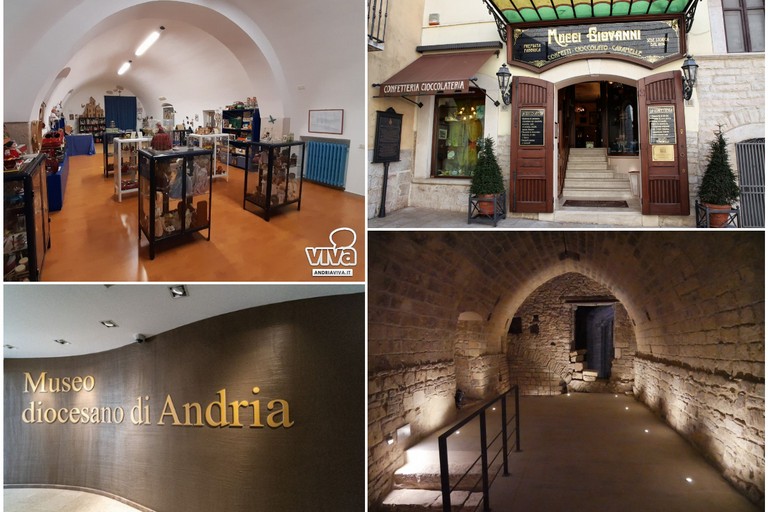La Notte dei Musei ad Andria: un viaggio tra i tesori cittadini