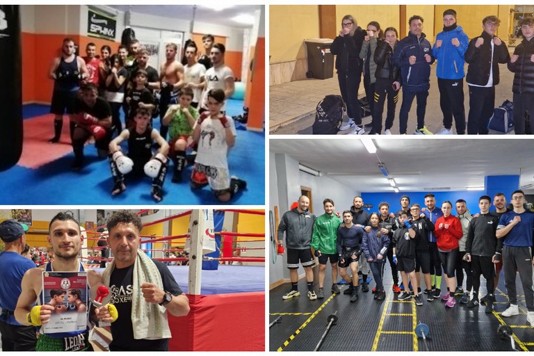 Boxe Palumbo